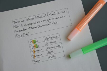 Diagnostik und Förderung bei Lese- und Rechtschreibschwierigkeiten